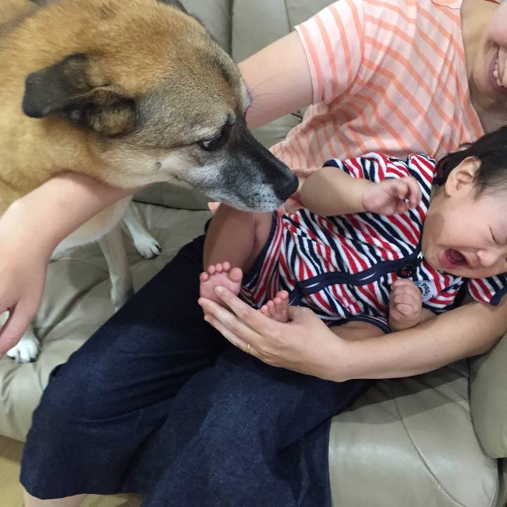 094ac610 75e5 4387 ae4b 6586992d4343