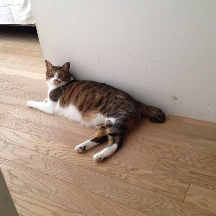 094bc5b2 7194 49ec 91ee 237aca0efb89