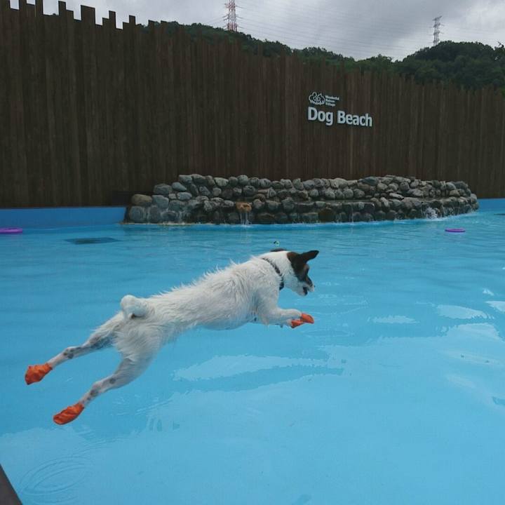 094c53ba 02c5 4c3e 8ba2 4e80a1454665