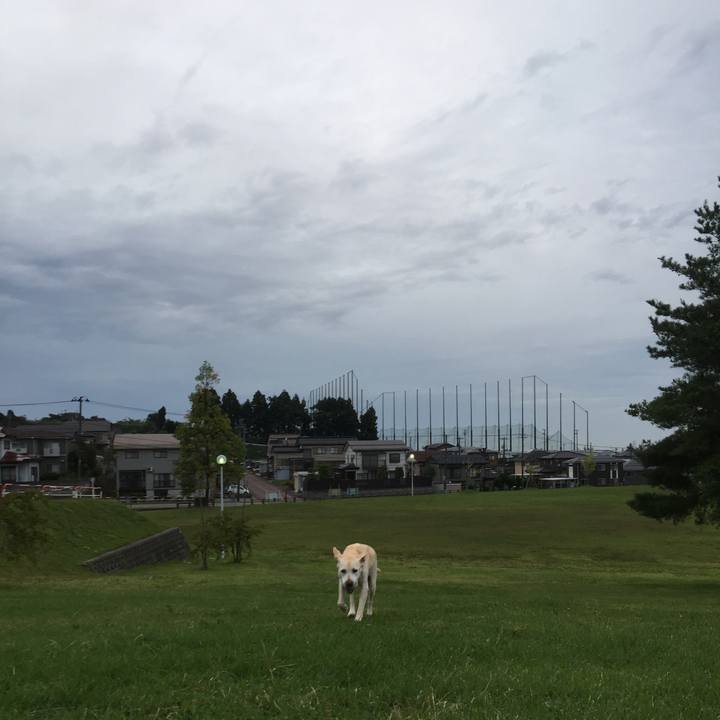 094c90ee 5252 4506 8070 3b68a5b5b035