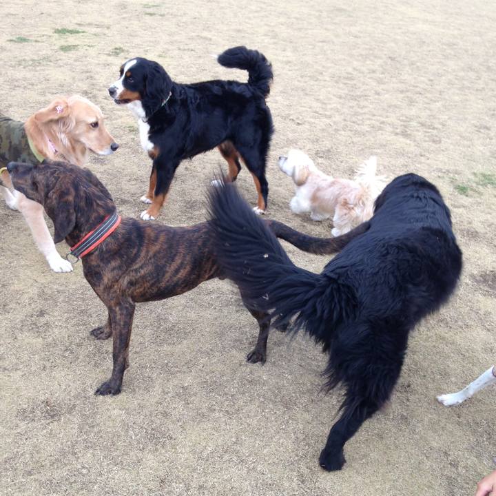 094cc223 39f8 42a5 ac17 0bfc241d64fa