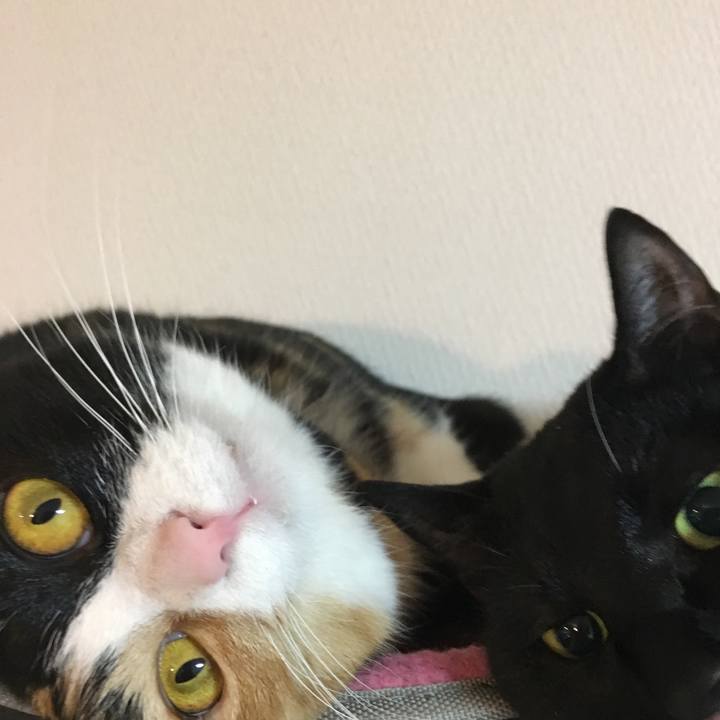 094cfb19 2b66 4d0a b246 912b0af03897