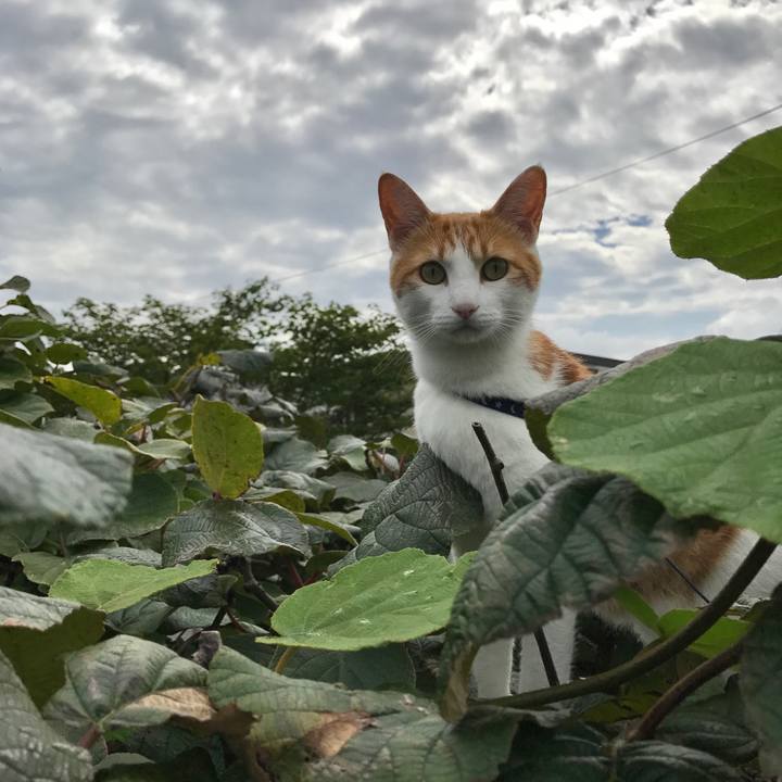 094d8566 893f 47be ad10 47d0a59e0dd2