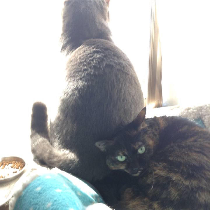 094ea7b1 2315 41b1 9dc2 6c4d53305555