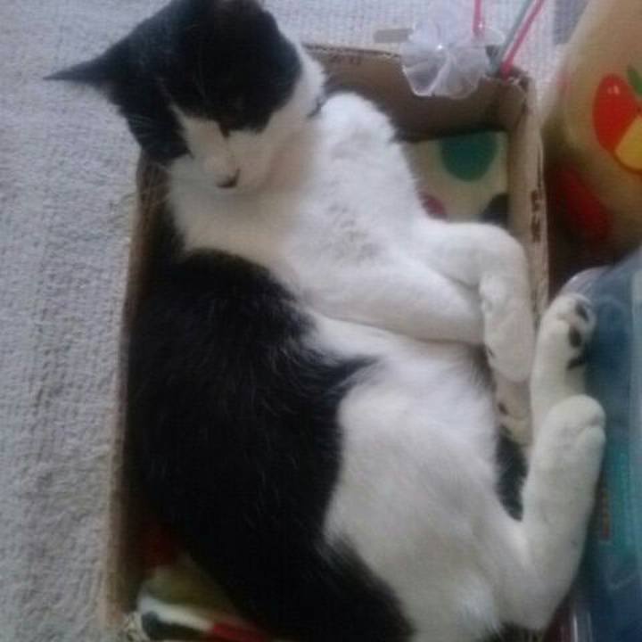 094ecc82 1449 4f25 b39f 6da0baf3c99d