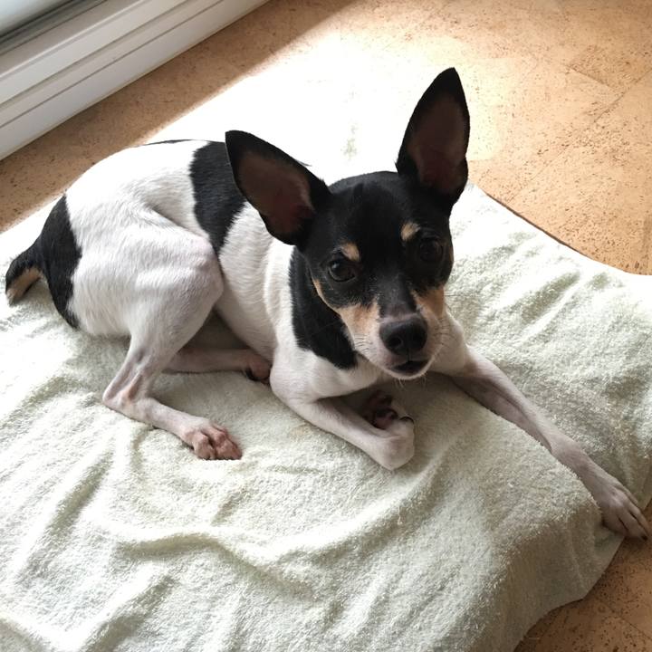 094f2924 f05e 4234 91a1 bf9c5d5e03b6