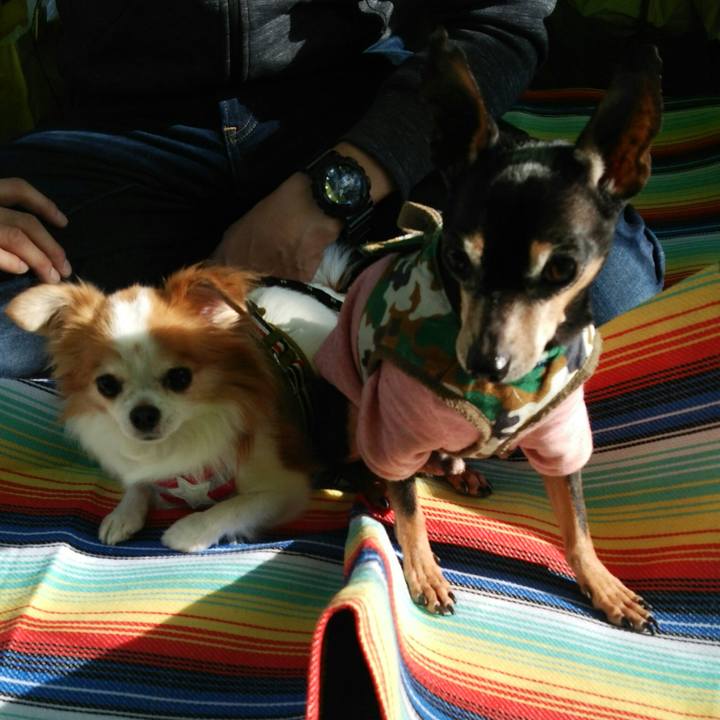 094fcb1a 0d44 44db a956 63b7d54234c5