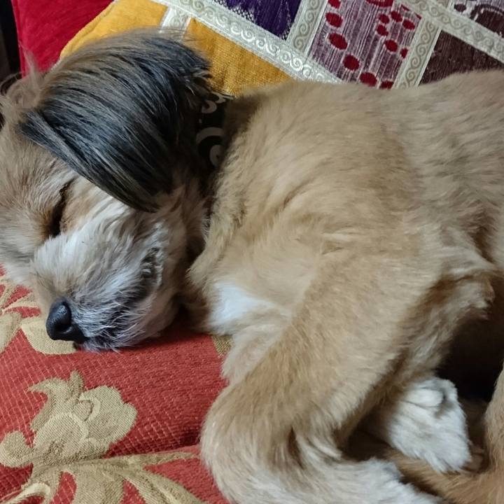 095028bd 7398 4a55 9319 62bff87f0b8c