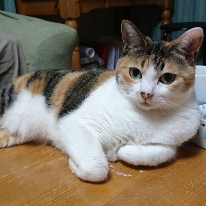 09503657 65dc 42b5 9c89 30198e5340e3