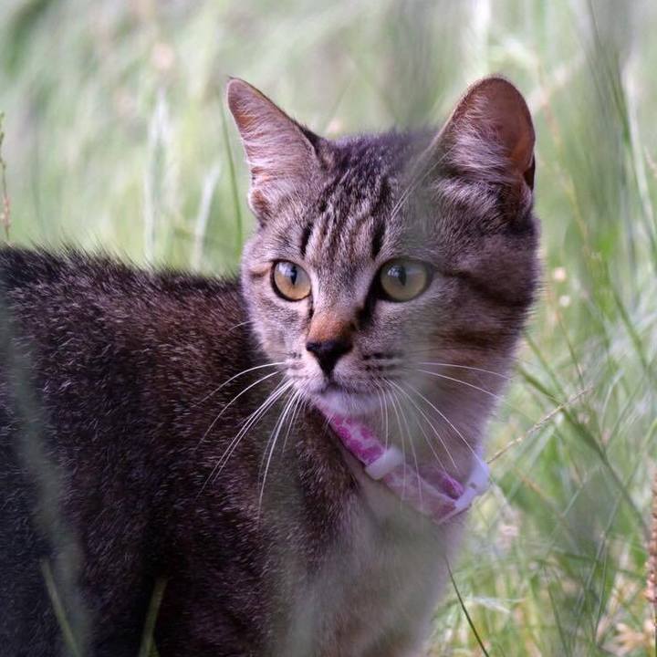 0950410e c6e5 4532 9b6e 325fb35d414f