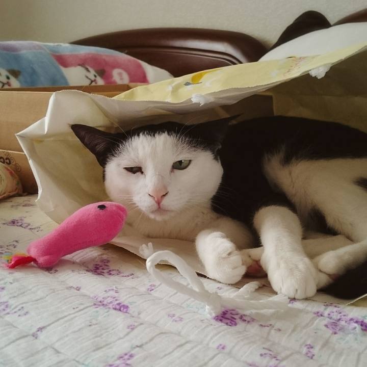 09505a75 1cc4 4430 a902 62a5b94205c5