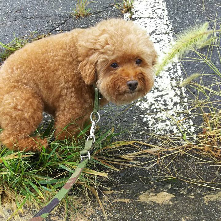 0950b962 cafc 4dd5 99de 2097d0fbd332