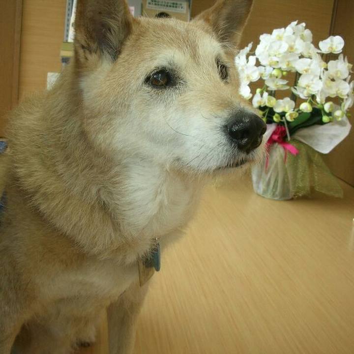 0950be66 c6a3 4313 8223 ab747ab3dbef