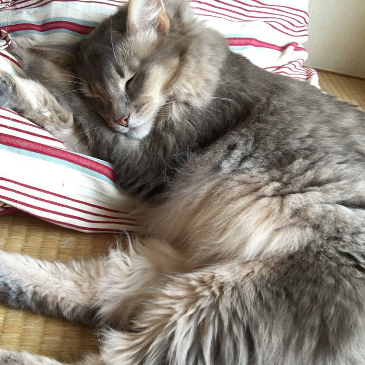 09514f46 ed20 44b1 80db 01a38514aacb