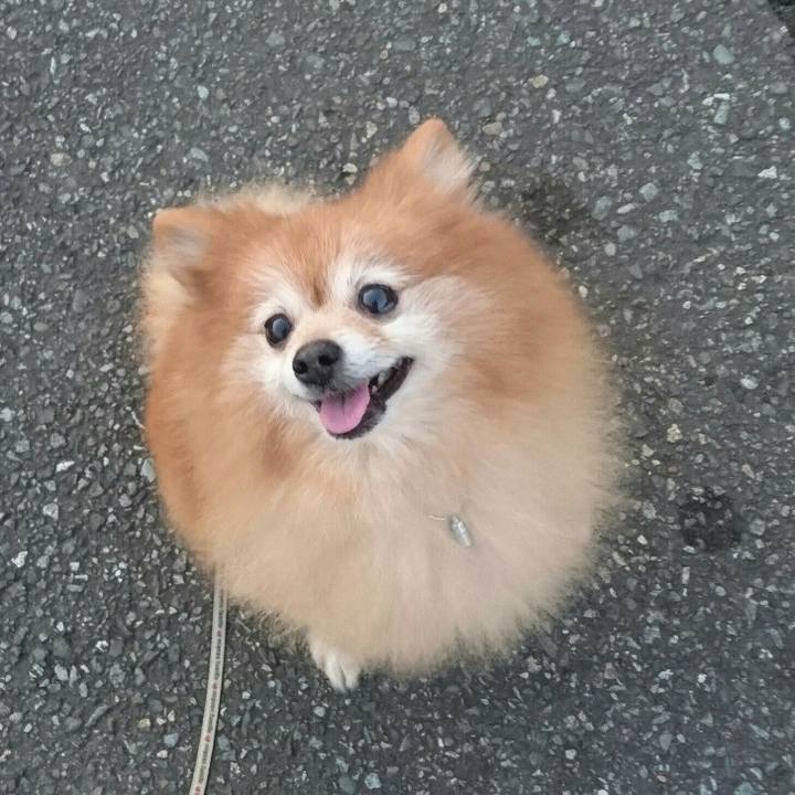 0951a2be 0b17 4335 8c61 752ca2bf460a