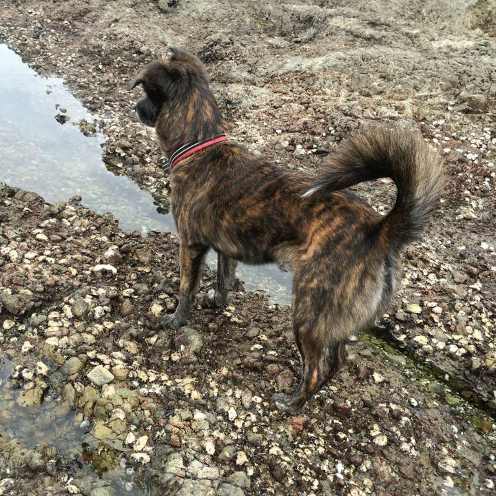 0952168a 6240 4204 bfe4 aa53b0ce4ae2