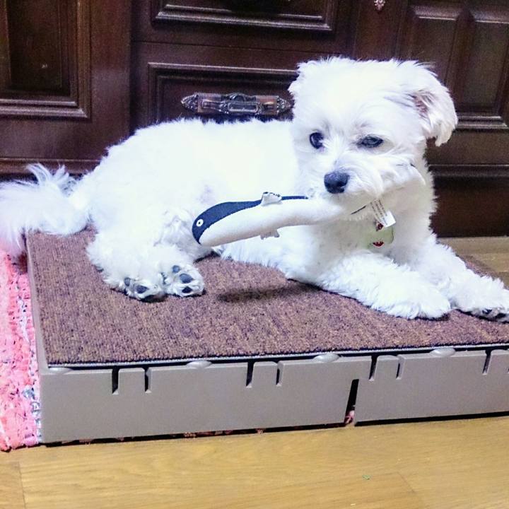 0952976f 1b41 4efd 9678 188e27ef59b7