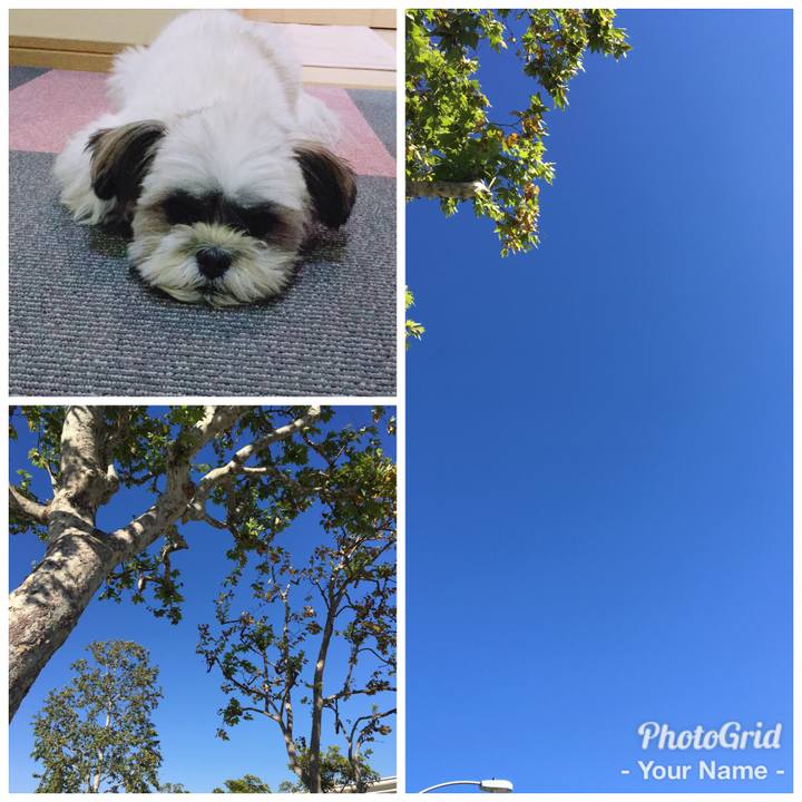 0952c825 d33a 4024 a940 286ad649da2e