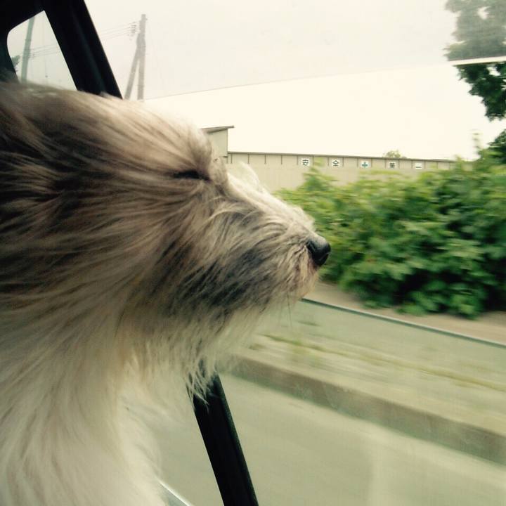 0952dd80 aa66 4394 b072 8308f154f8d3