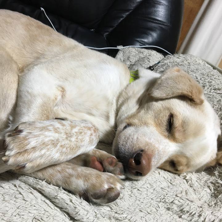 095357f2 489f 4fb4 8cff 61b56e11072f