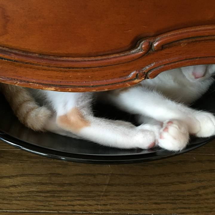 09535c31 00a3 40e3 8a07 08b75b83ca6a