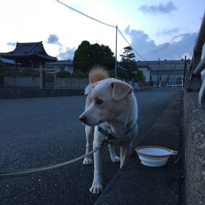 0953b6d6 d4a6 4e16 850c d7b5f75263e9