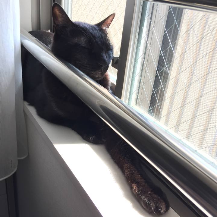 095505a2 ddcc 4fc4 a414 d5be96358a20