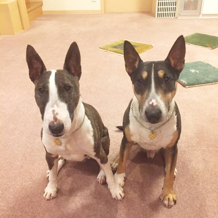 0955fb83 a9a9 49df a96f 2696fd937b4a