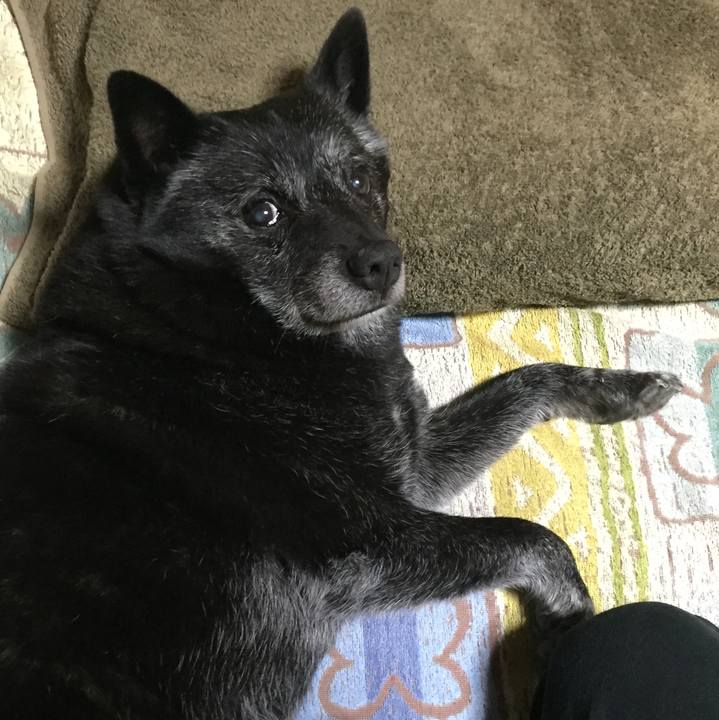 09572fec 1d12 46df bab0 c933b89906dd