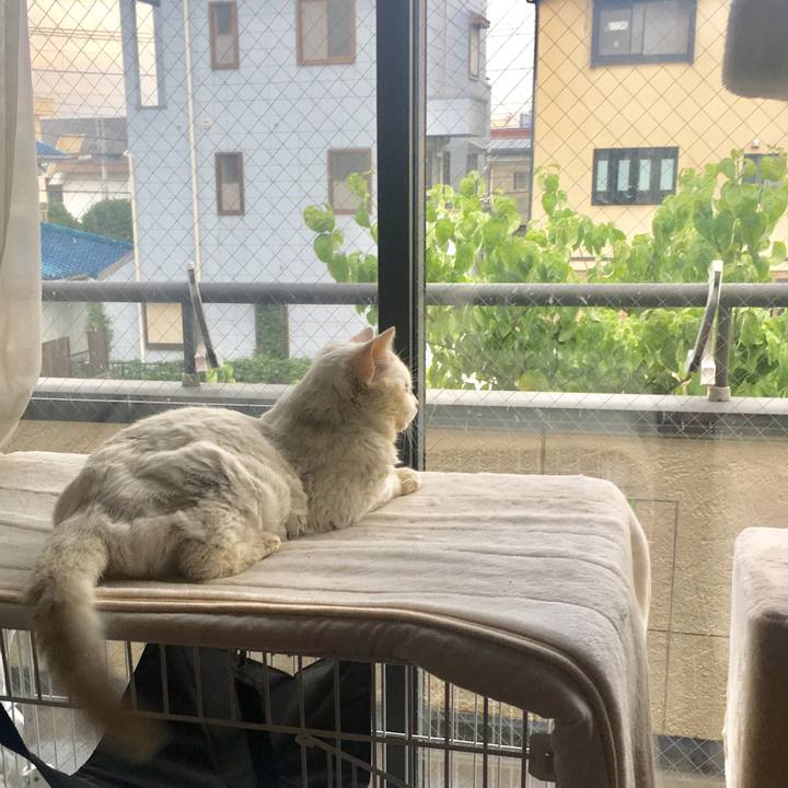 09573a5e 1c27 42b6 abd9 656cf142a67a