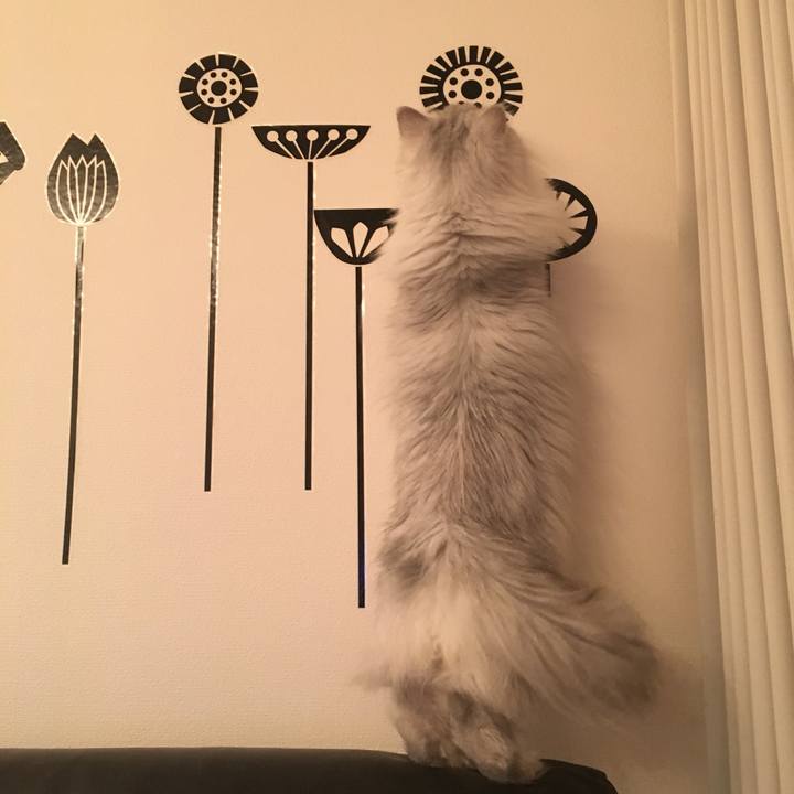 0957646c ff18 42f1 8158 0816a49cd325