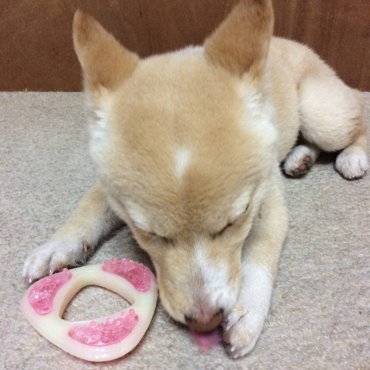 0957cc13 58c2 4d6a aa82 e6493237c51c