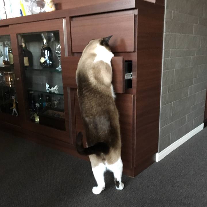 095909c7 11ba 49a2 8446 45f07c44b3cc