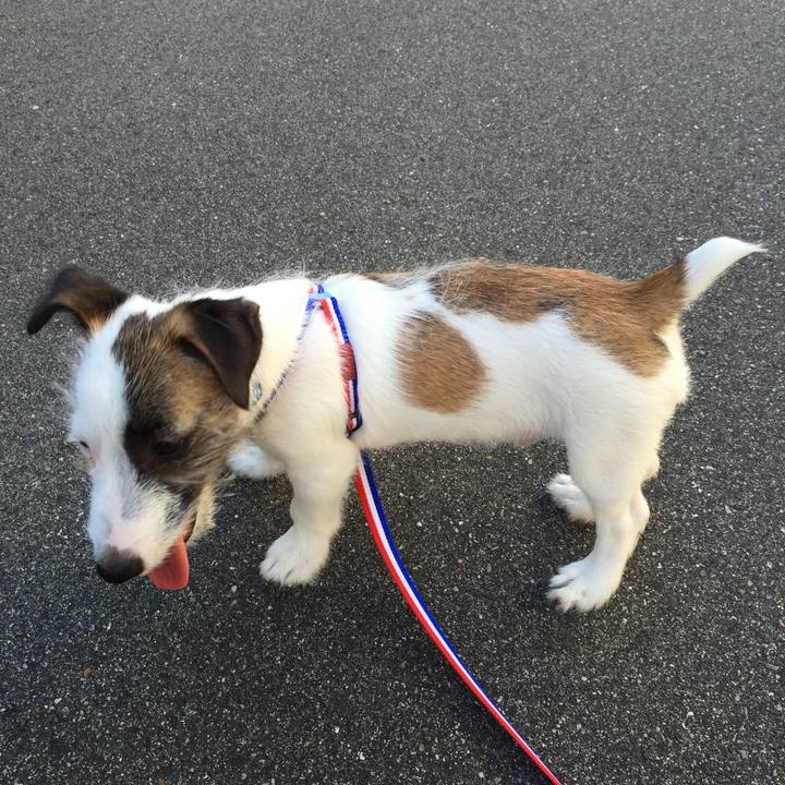 095964c2 394b 4525 8a1a 3af6b1a12f77