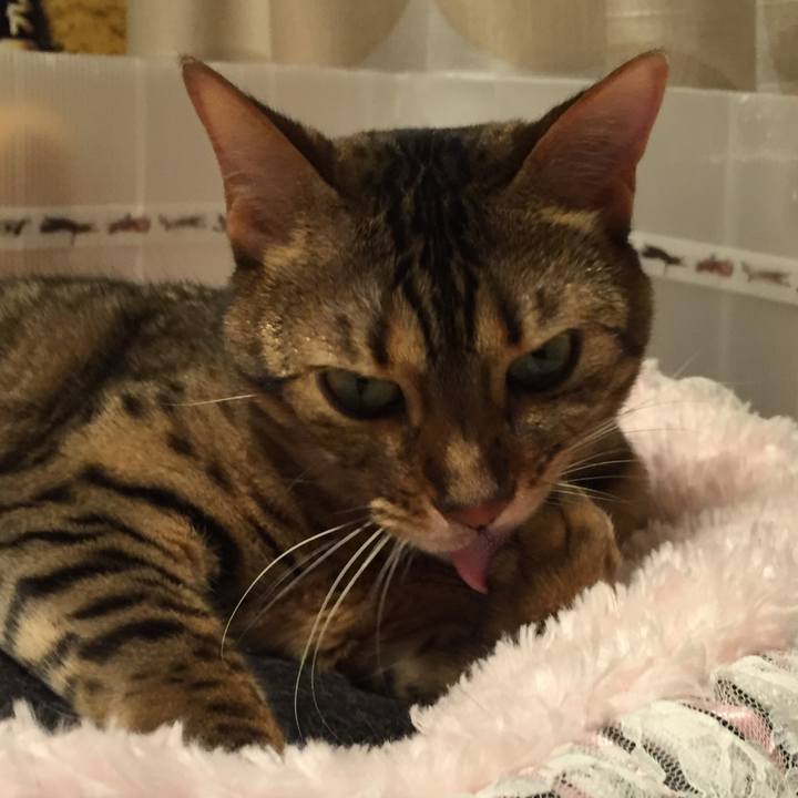 09597bb9 adf6 484e 9189 d6d929f1bd84