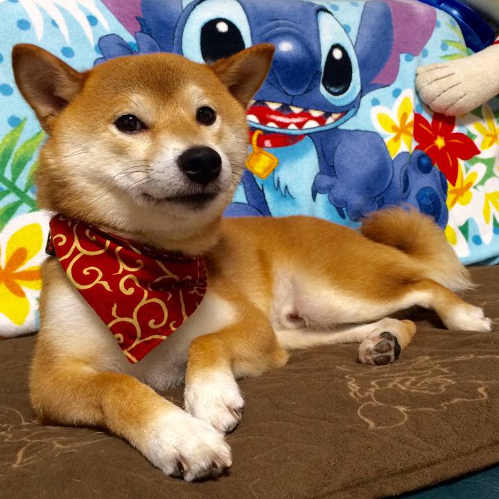 0959cfae 1583 4ab5 bf35 91185599d297