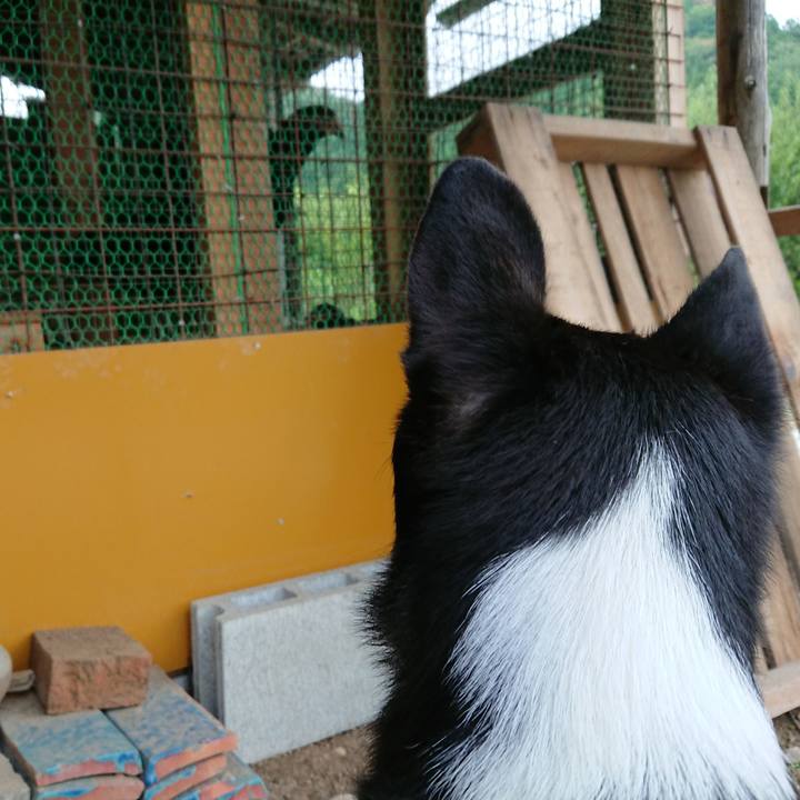 095a48f4 d3d3 4cee 8c40 416d836073a5