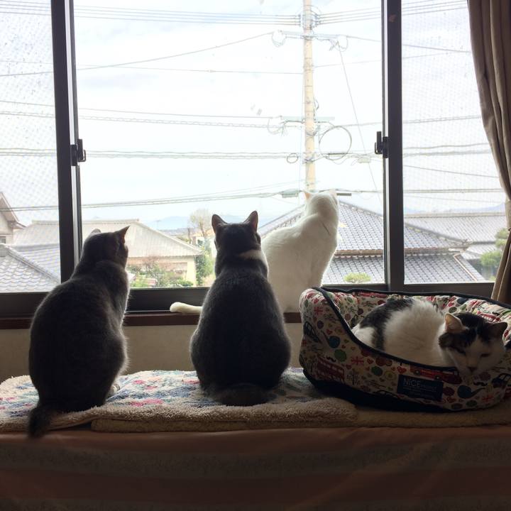 095b3512 bb23 46f4 9c67 cf9913b08aaf