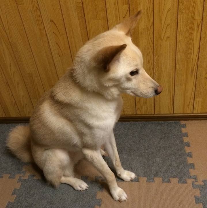 095b5060 32ff 4f8a b657 526e432d4a57