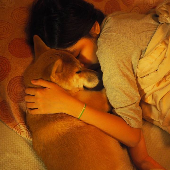 095c0293 4165 4a1b ba36 6400ebeda835