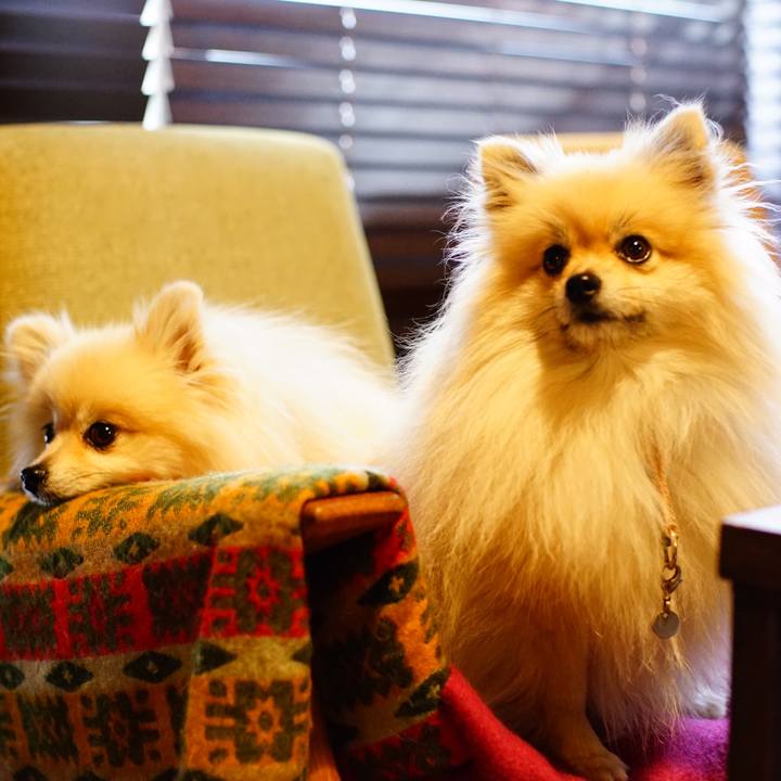 095cada7 a0fa 4bf1 91c3 b5eb42a7df7e