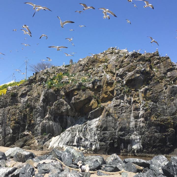 095ce9fd f014 4fcb 86ea a953661752cf