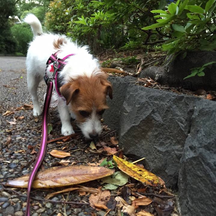 095d3483 12d1 405b 849b 2ab39c250e01