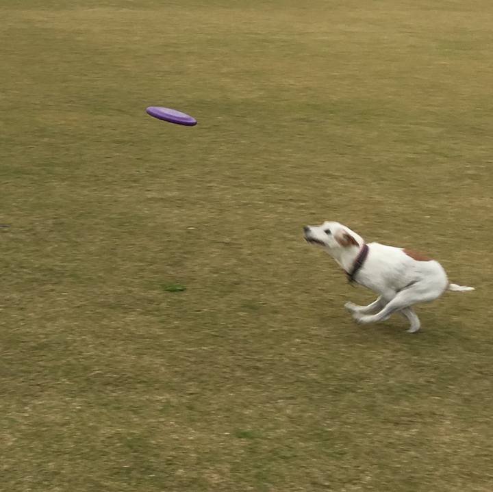 095d4590 7495 45ac bd45 23792b5186e2