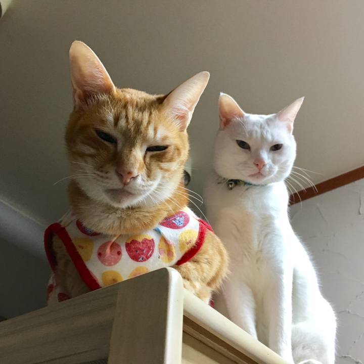 095d4c9f 0c2c 445c 82e6 39a046e421fb