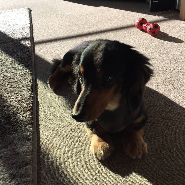 095d8770 5b6b 4a39 911d a411dbdf4e85