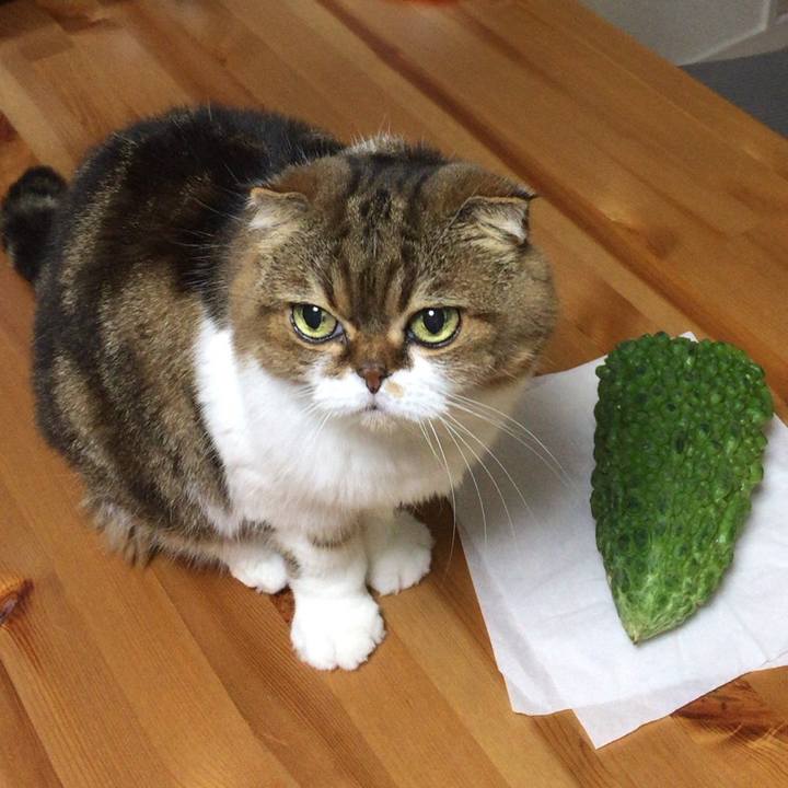 095e0e85 9353 4e0f ad2e 9aea696fda63