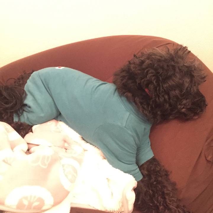 095e9445 59f8 4fe2 8ace 0b7c8829a7f7