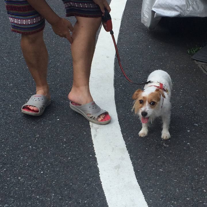 095ef88a 419c 4ada bf9d 00f761d6cbd8