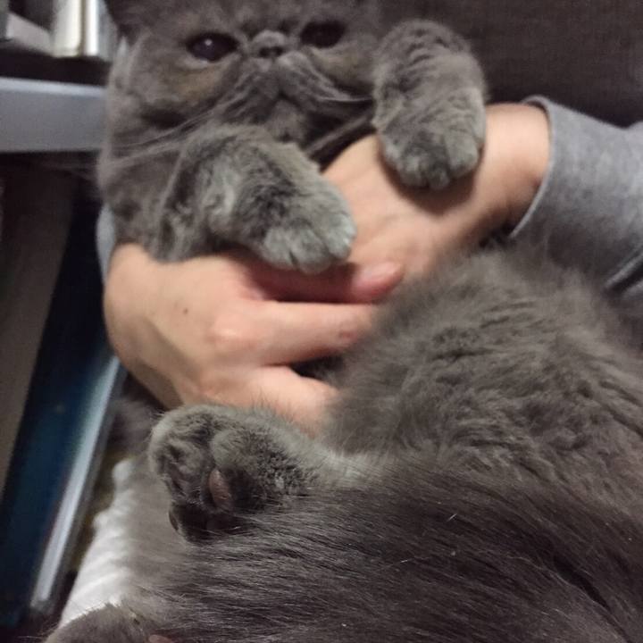 096036b5 edff 487b ad55 429a6f87d1e2